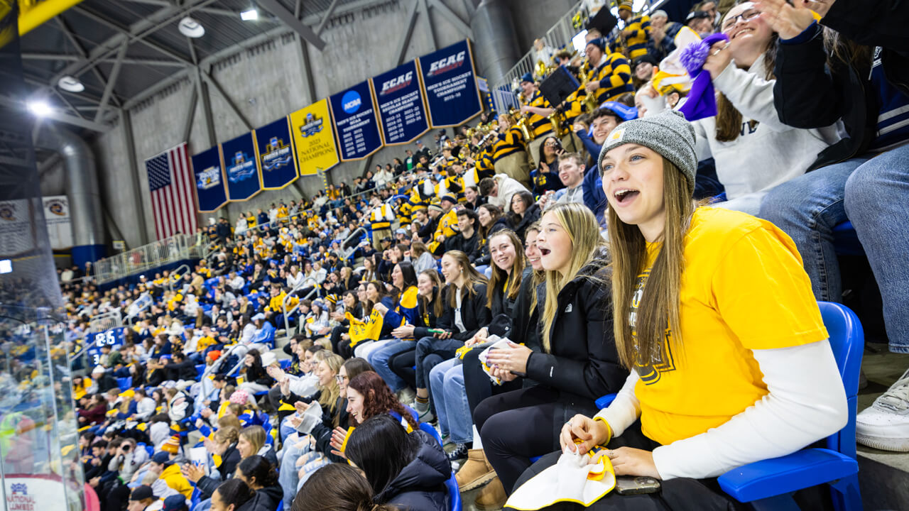 Individuals in the stand cheering