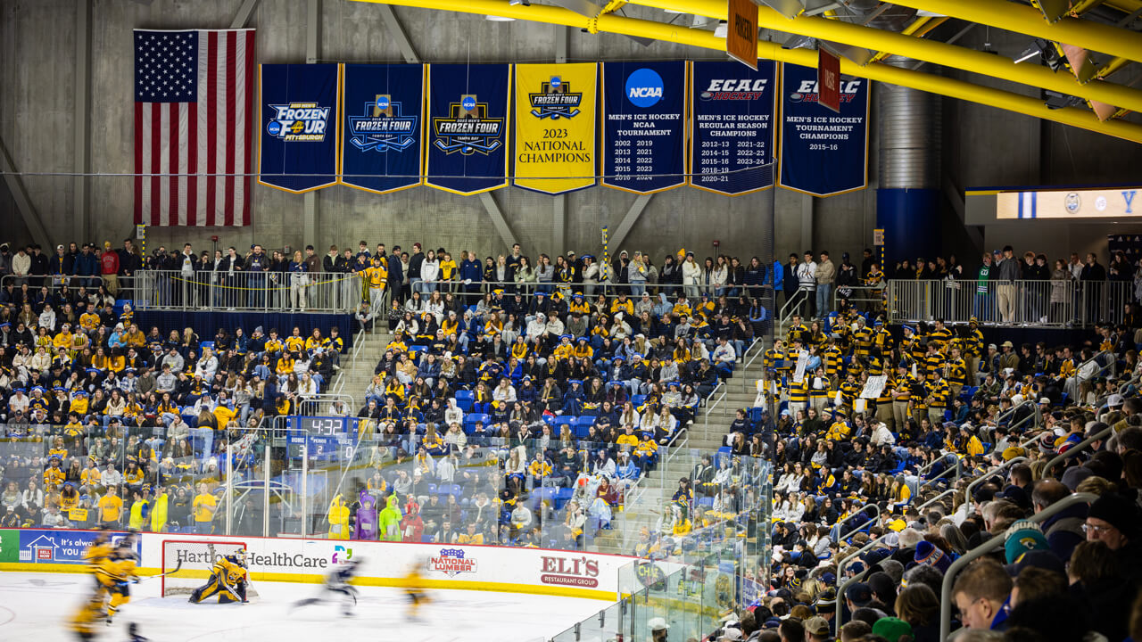 Wide shot of people in the ice hockey rink