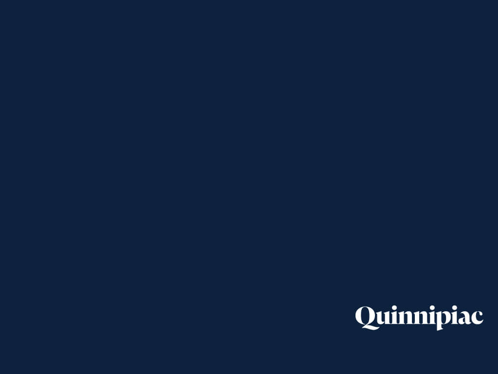 Quinnipiac digital wallpaper, navy with Quinnipiac logo in corner, 1024 by 768 pixels