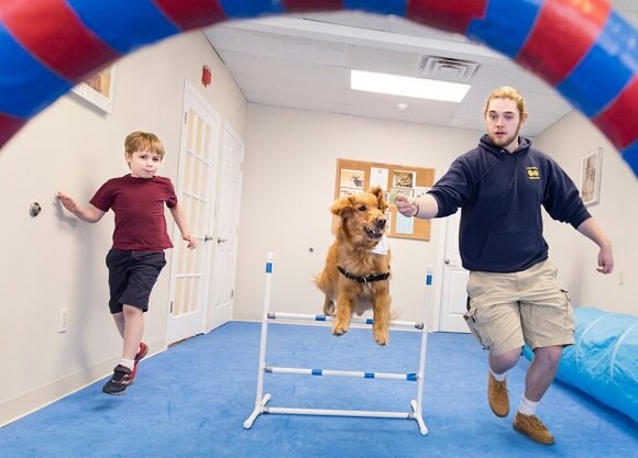 A dog jumps through a lifesaver.
