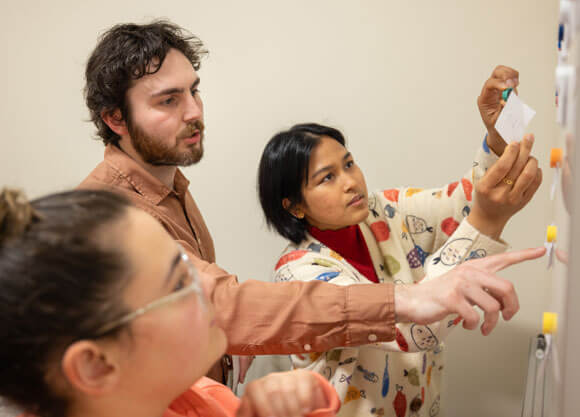 Three School of Medicine students placing items on a white board