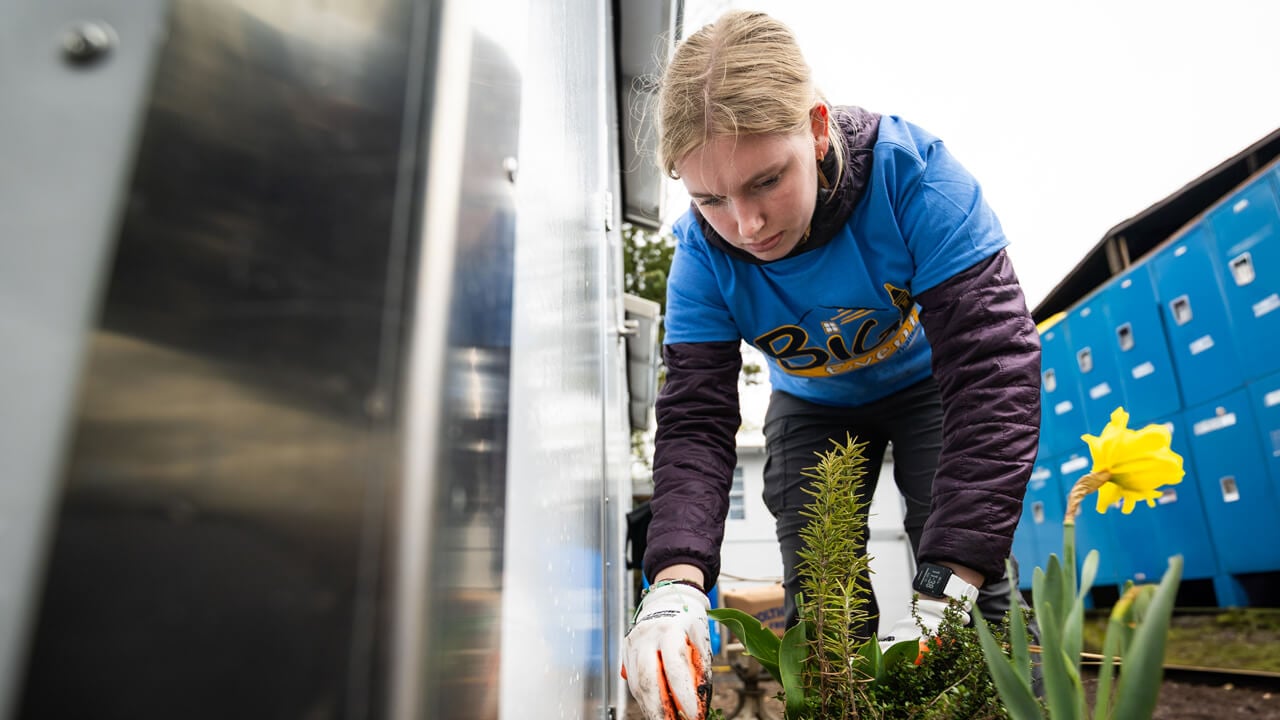 Person working with a plant
