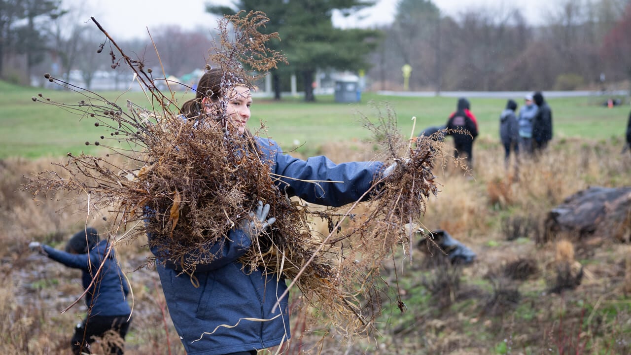 Person carrying sticks