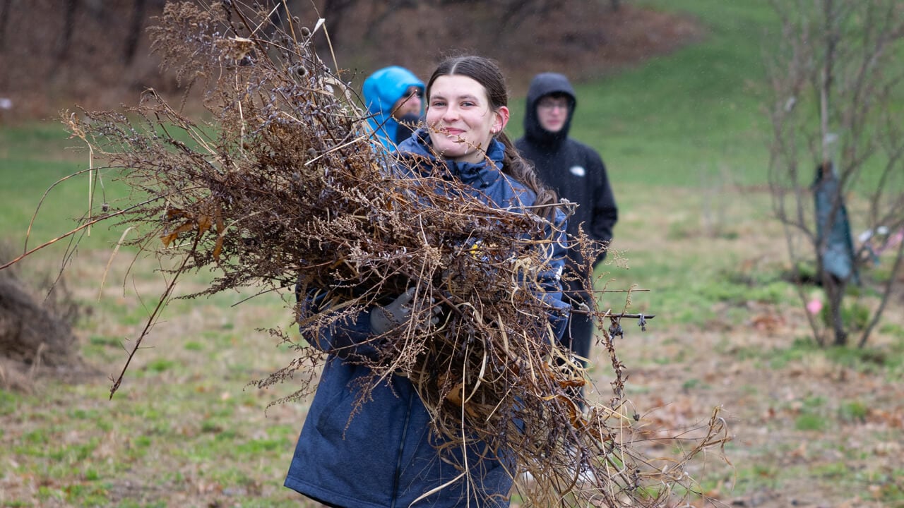 Person carrying sticks