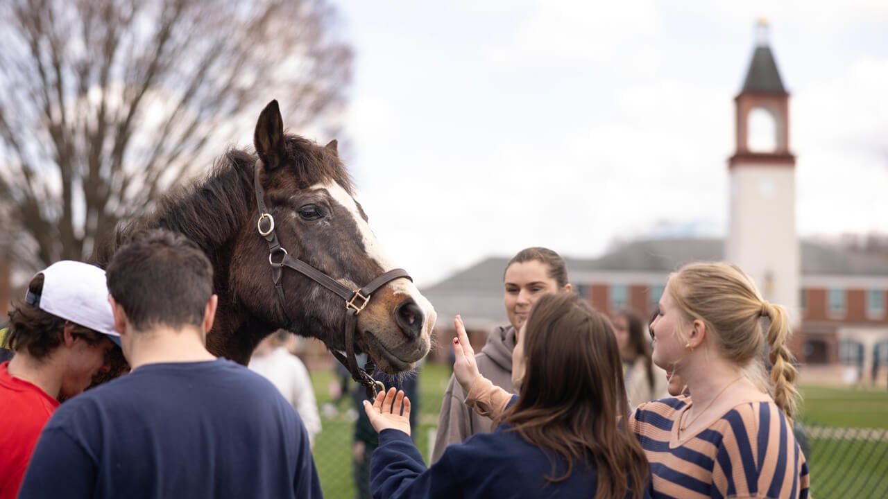 People petting a horse