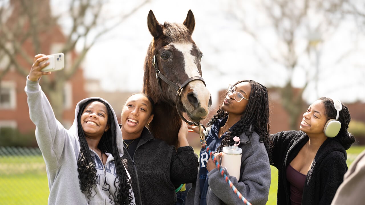 People take a selfie with a horse