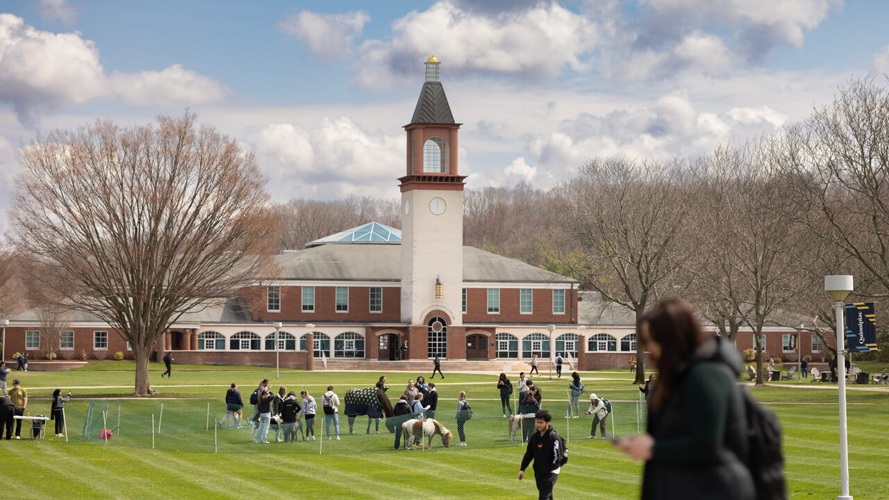 Shot of the Quad with horses