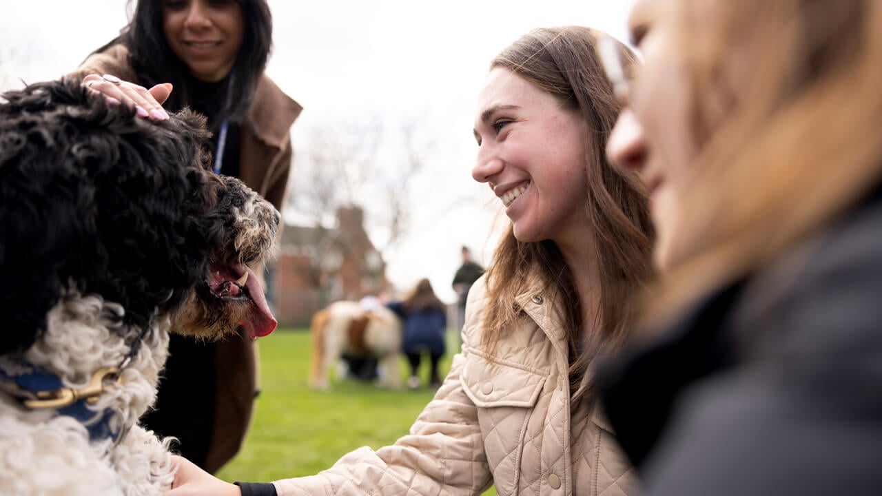 People smiling at a dog