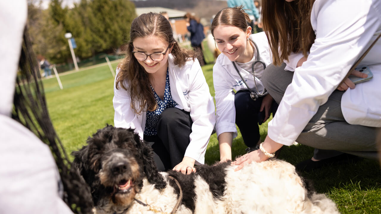 People petting a dog