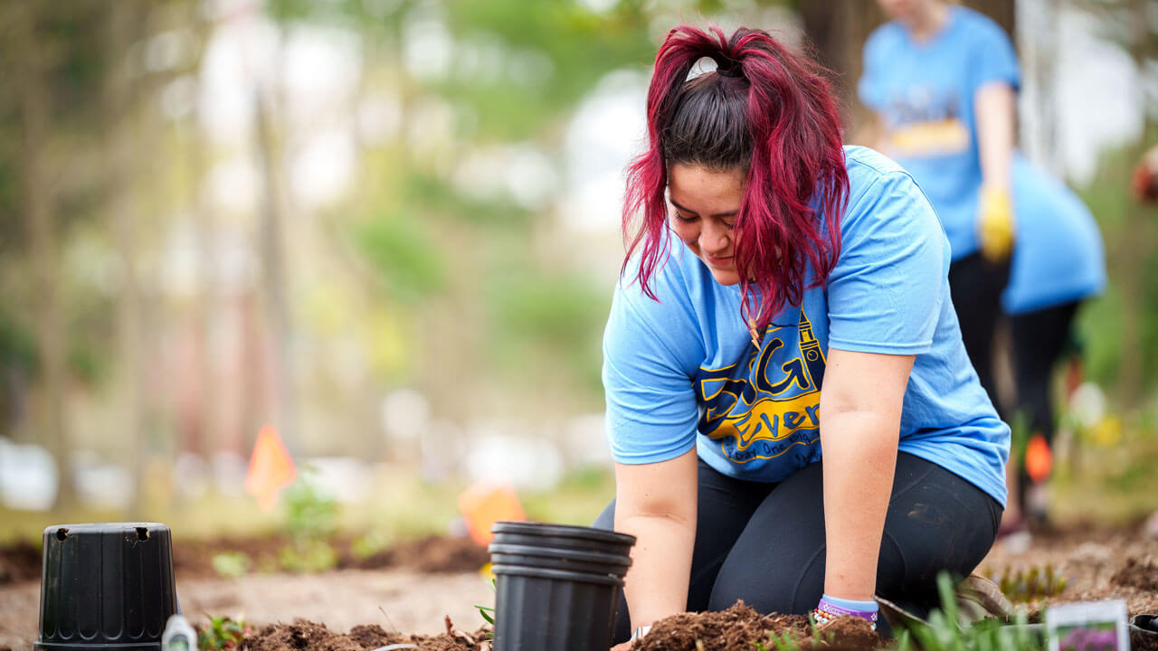 Jennifer help plant during Quinnipiac's Big Event