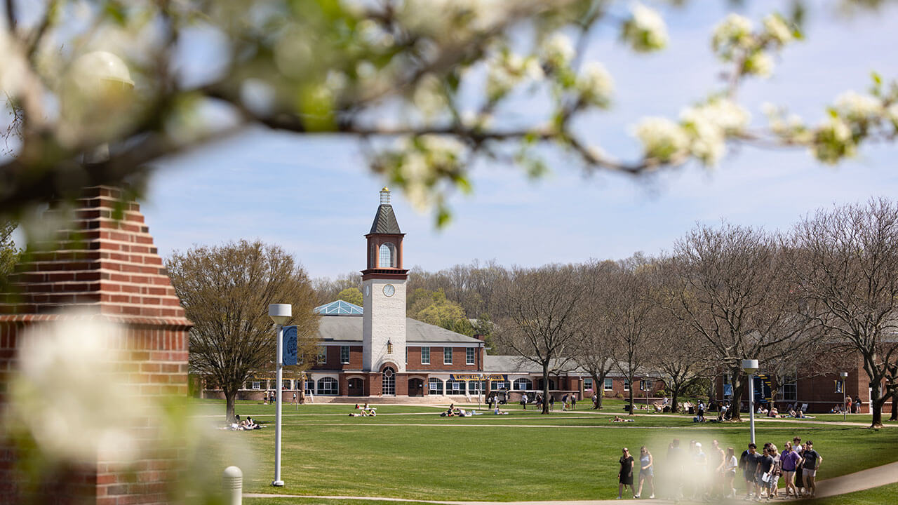 Exterior shot of the clocktower with flowers in the frame