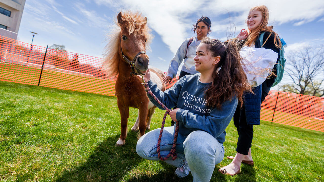 Brown and white pony walking with ot students
