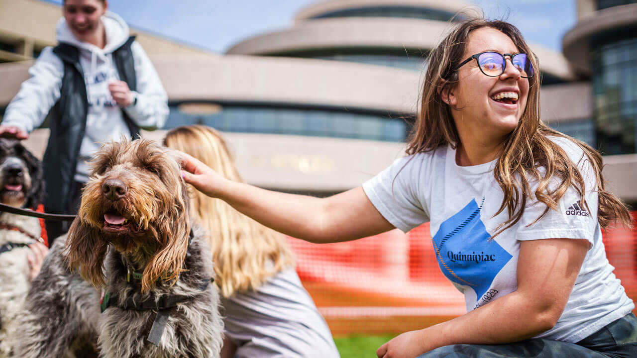 Girl smiles while petting pony