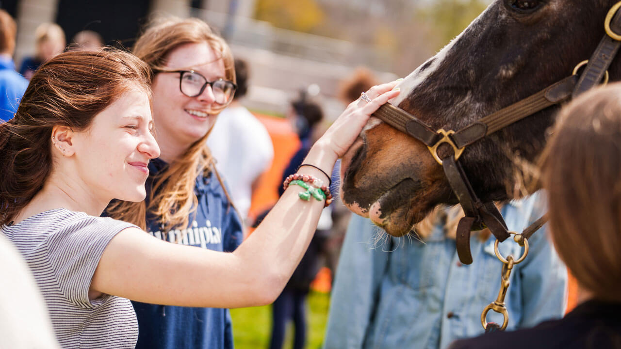 Girl pets horse's snout