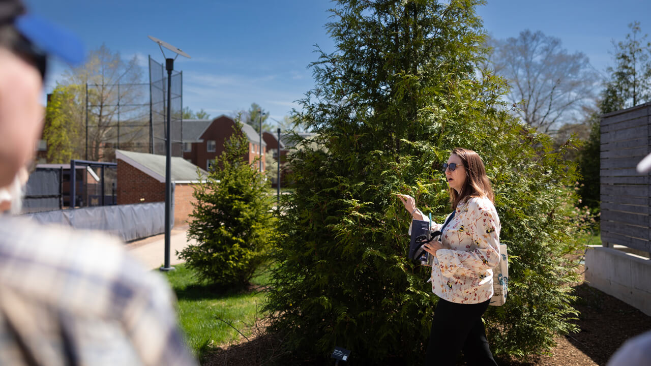 Sarah Lawson touches an evergreen tree as she speaks to a gathered group