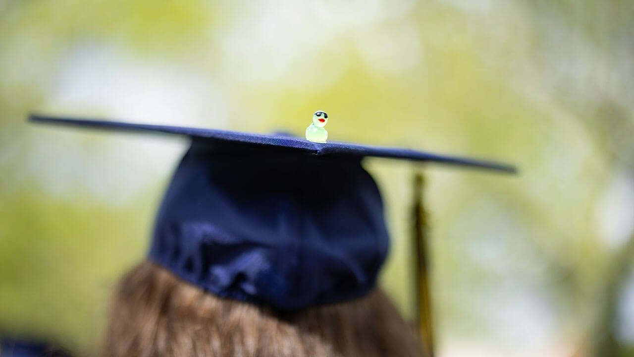 A mini duck with sunglasses on a graduation cap