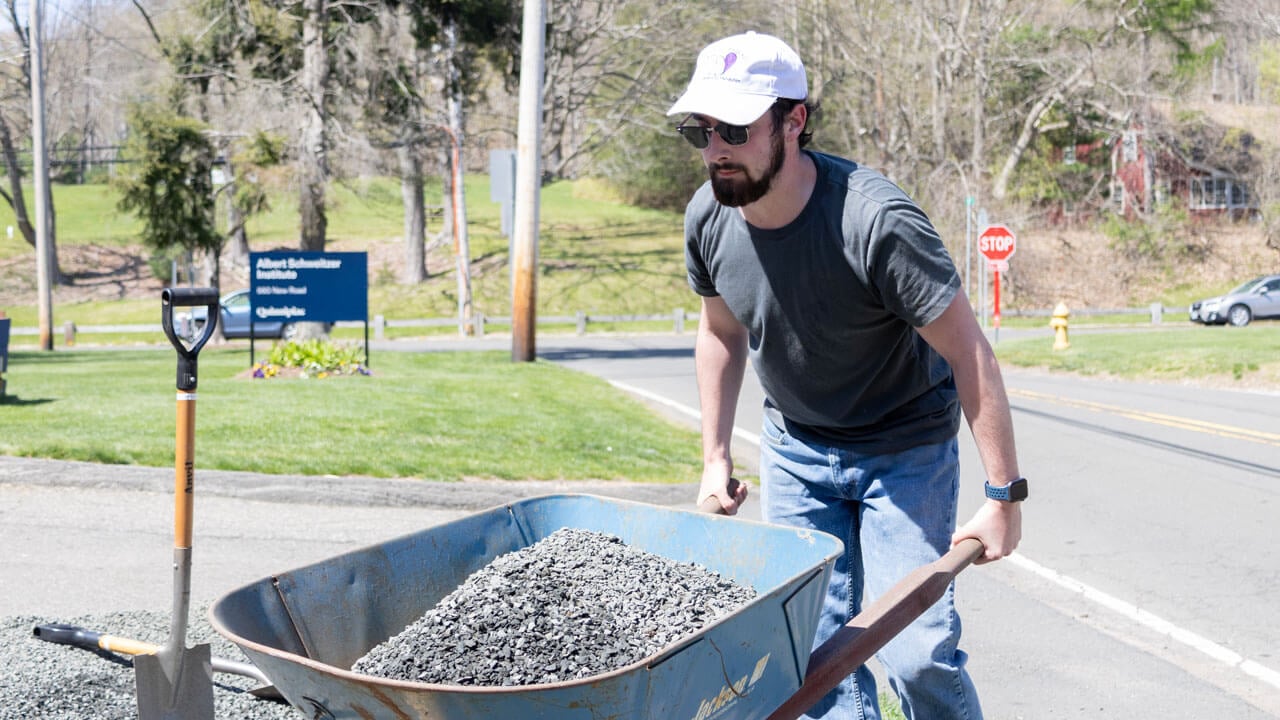 Quinnipiac Arbor Day volunteer wheeling gravel in a wheelbarrow