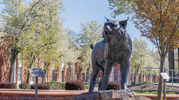 Statue of a bobcat stands in front of flowering trees on Bobcat Way on the Mount Carmel Campus.