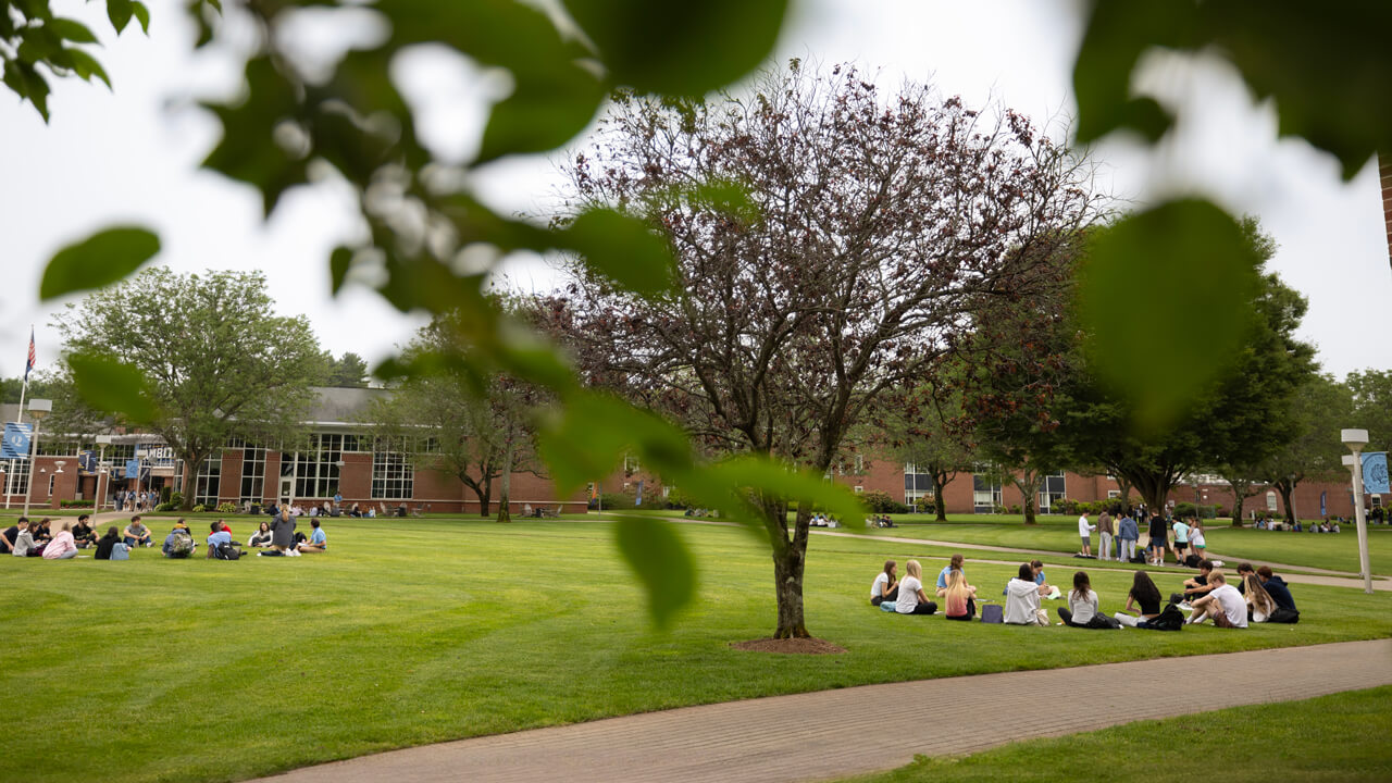 Students sit on the Quad in their orientation groups