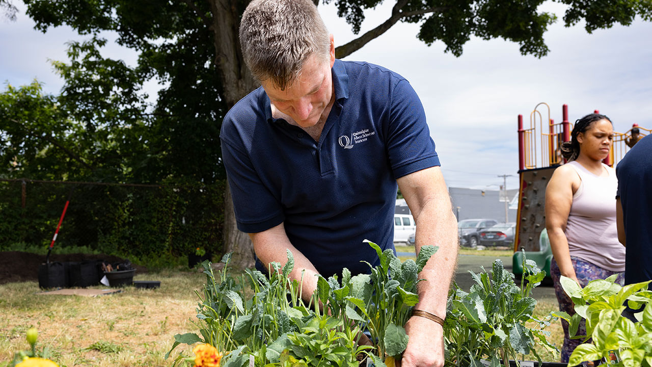 Faculty member looking down while planting