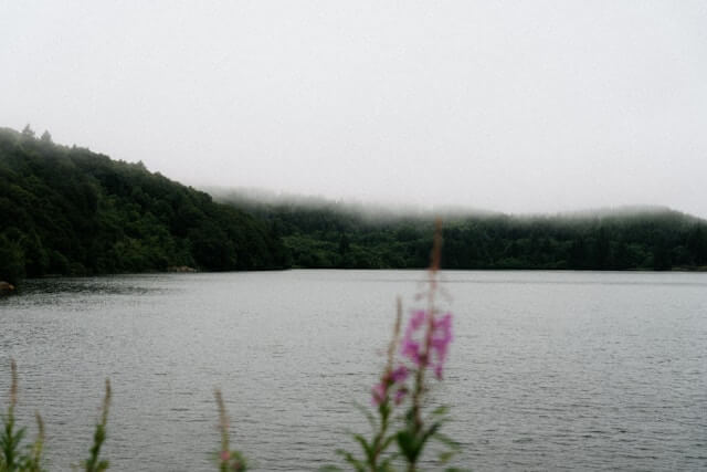 Contributor image