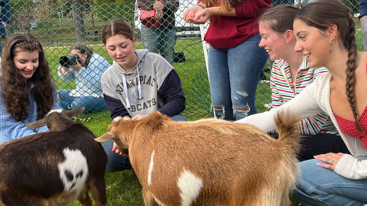 Students petting goats on campus