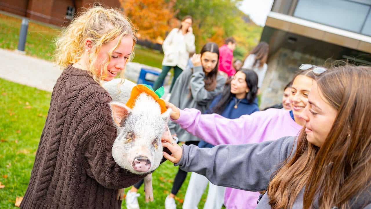 Students petting a pig