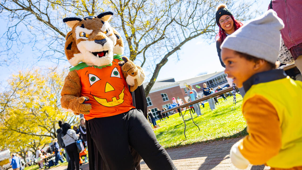 Boomer dressed up in a pumpkin halloween costume