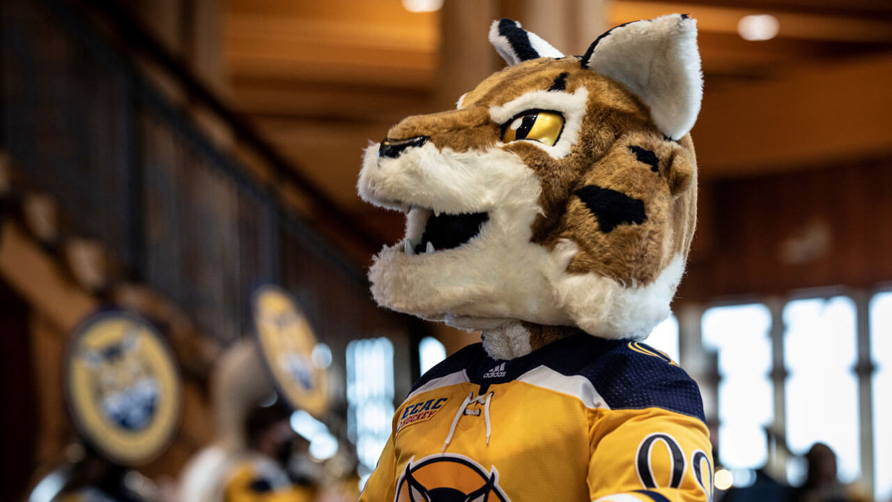 Boomer in on the rocks pub