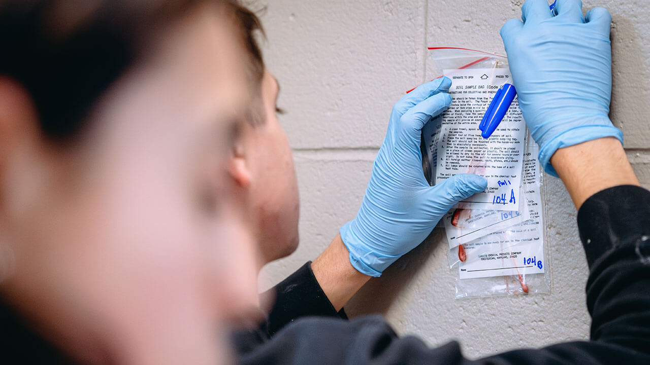 Professor Lisa Kaplan organizes a crime scene exercise for students pursuing a minor in forensic science.