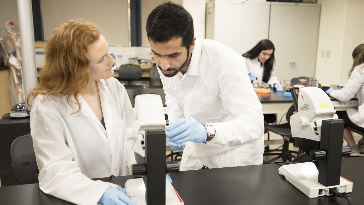 What can a degree in health science studies offer