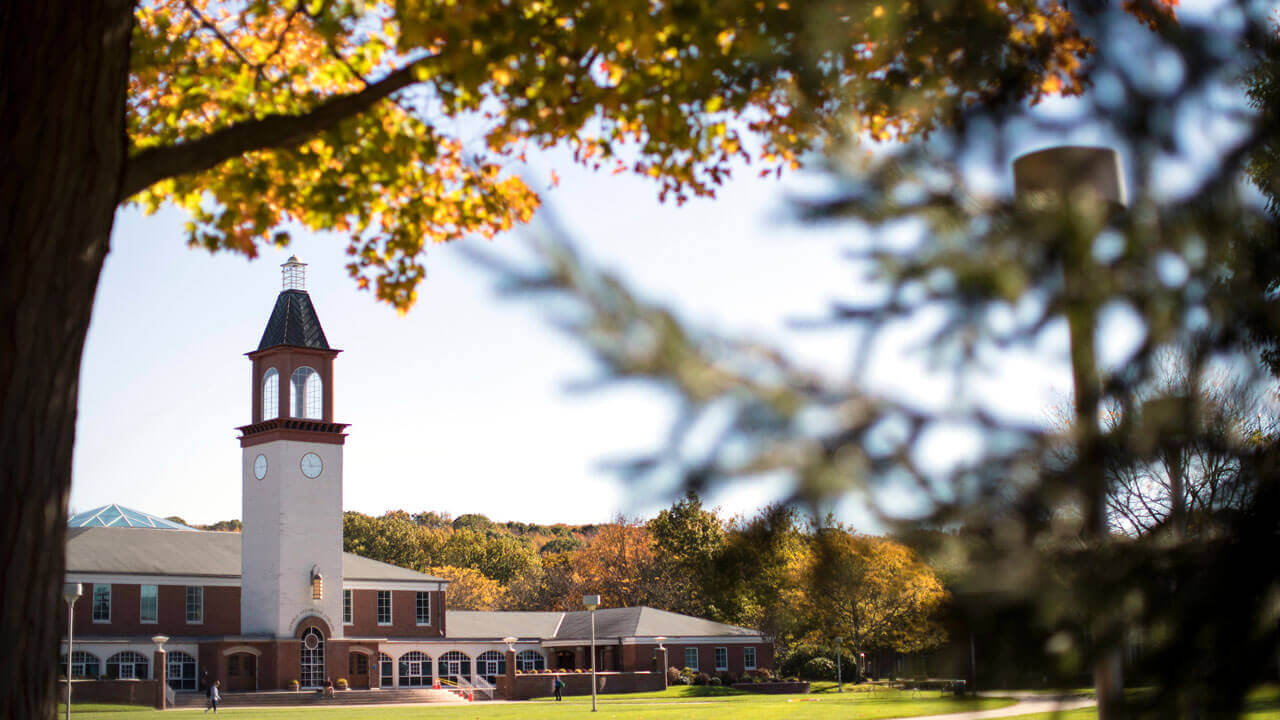 Fall leaves in front of library