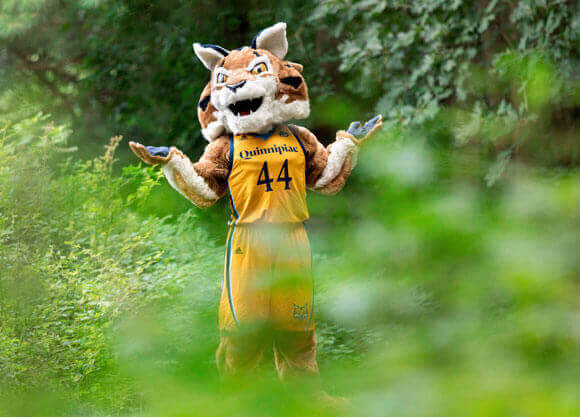 Boomer the mascot lost in the woods